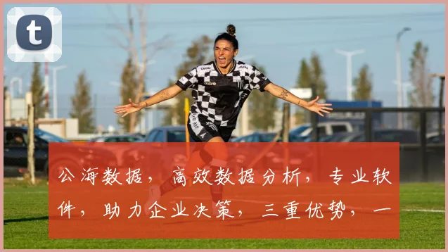 公海数据，高效数据分析，专业软件，助力企业决策，三重优势，一应俱全