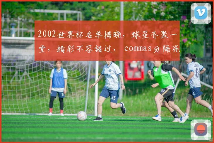 2002世界杯名单揭晓，球星齐聚一堂，精彩不容错过， commas分隔亮点