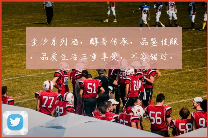 金沙系列酒，醇香传承，品鉴佳酿，品质生活三重享受，不容错过，尽在其中。