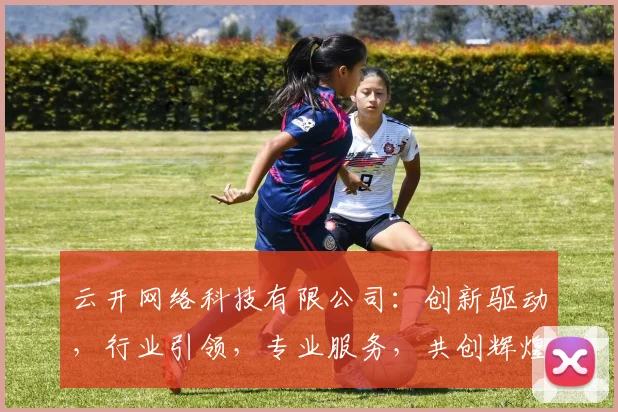 云开网络科技有限公司：创新驱动，行业引领，专业服务，共创辉煌，助力企业腾飞