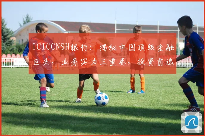 ICICCNSH银行：揭秘中国顶级金融巨头，业务实力三重奏，投资首选
