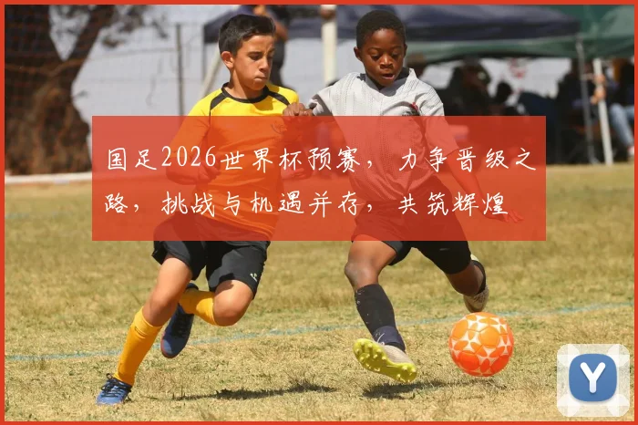 国足2026世界杯预赛，力争晋级之路，挑战与机遇并存，共筑辉煌